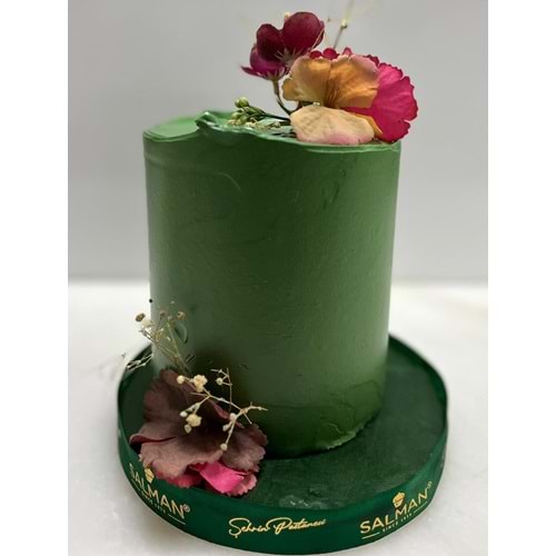 Birthday Cakeı 02