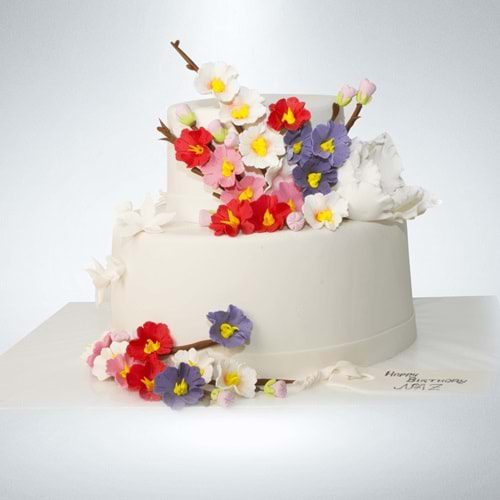 Birthday Cake 03