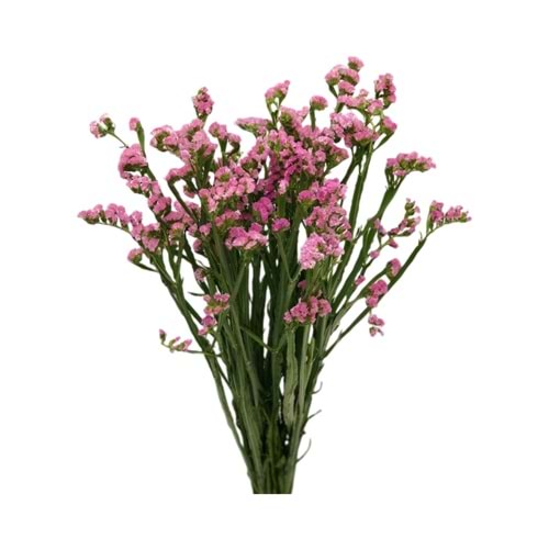 Pembe Statice